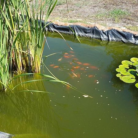 Agriturismo La Barca In Secca ออลเมโด ภายนอก รูปภาพ