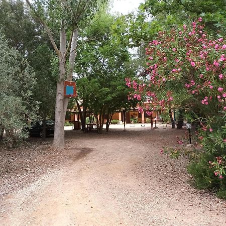 Agriturismo La Barca In Secca ออลเมโด ภายนอก รูปภาพ