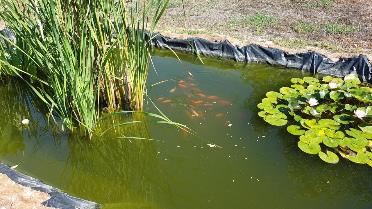 Agriturismo La Barca In Secca ออลเมโด ภายนอก รูปภาพ