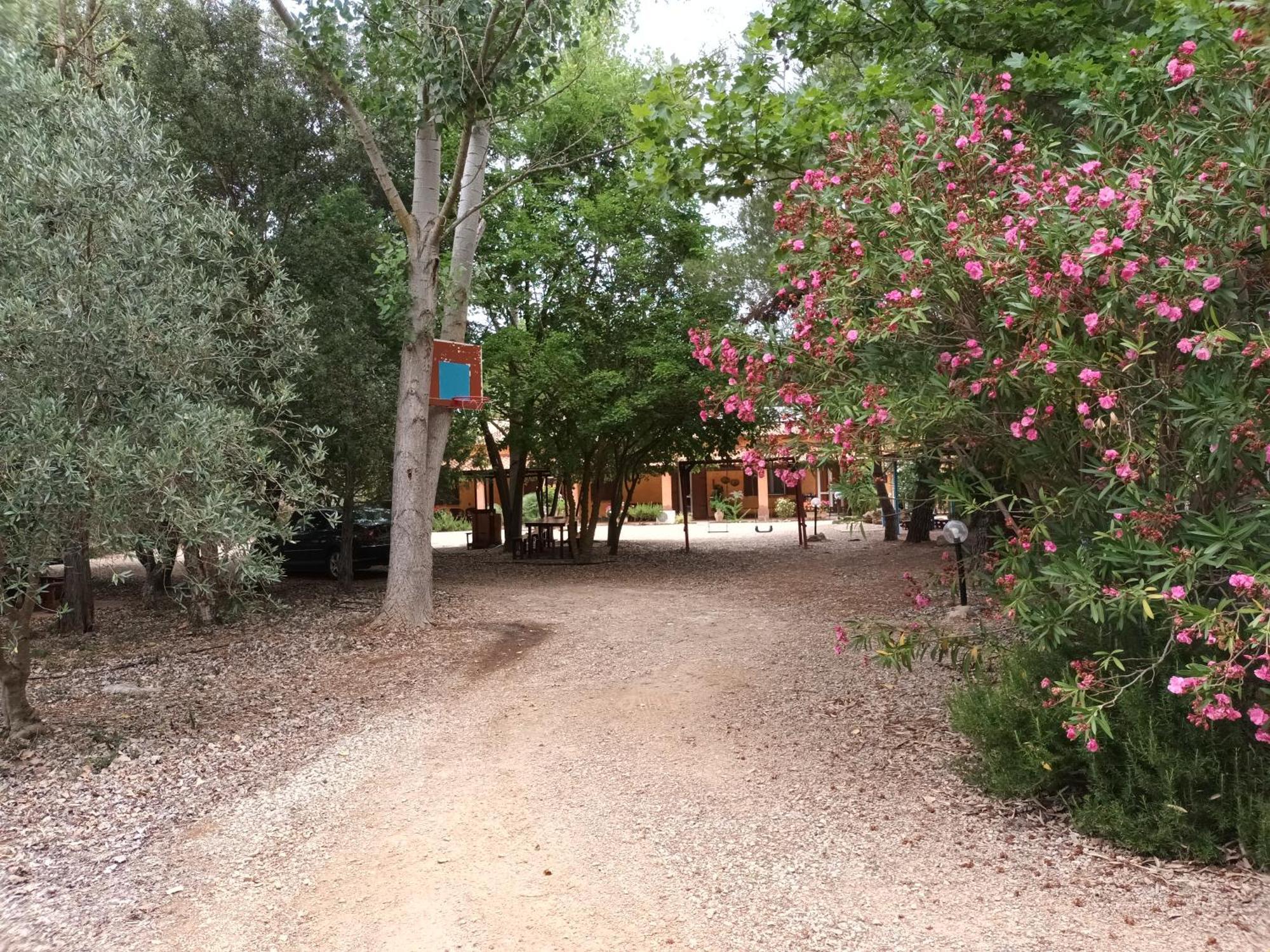 Agriturismo La Barca In Secca ออลเมโด ภายนอก รูปภาพ