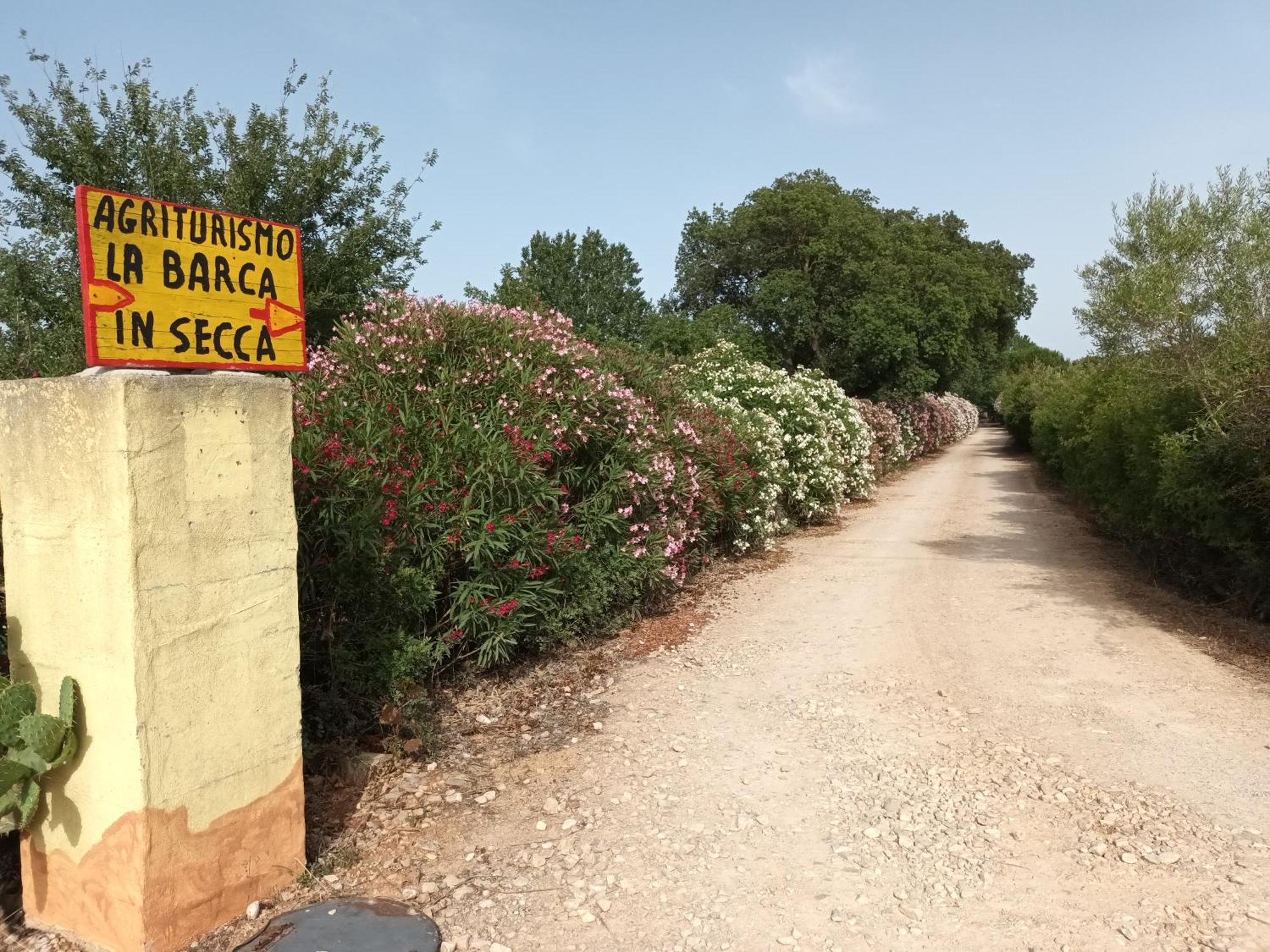 Agriturismo La Barca In Secca ออลเมโด ภายนอก รูปภาพ